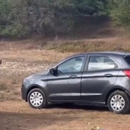 Jornalista é morto a facadas e corpo é localizado ao lado de veículo em Piancó