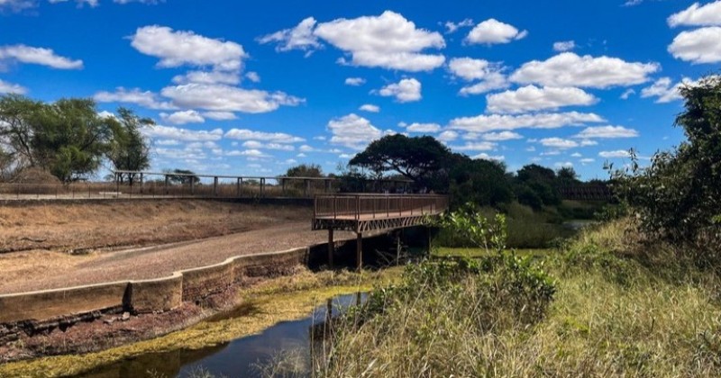 Vale dos Dinossauros tem visitações suspensas após incêndio na vegetação