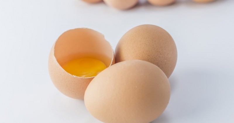 Como saber se ovo está podre? 5 truques caseiros para não errar