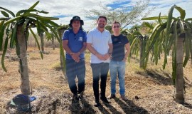 Comunidades rurais de Patos recebem mdulos de plantao de pitaya 
