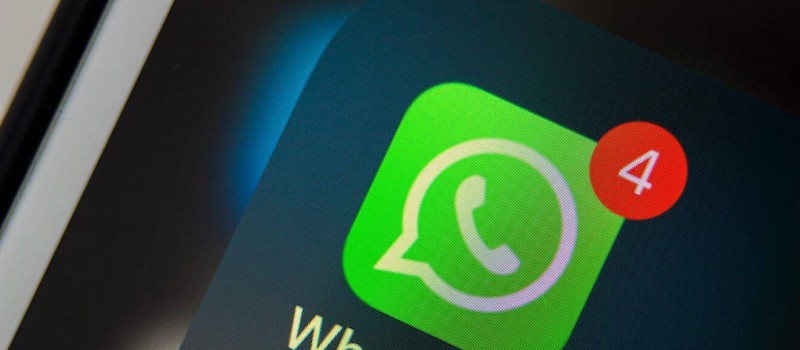Grupos de WhatsApp para imitar animais se tornam sensa��o entre brasileiros
