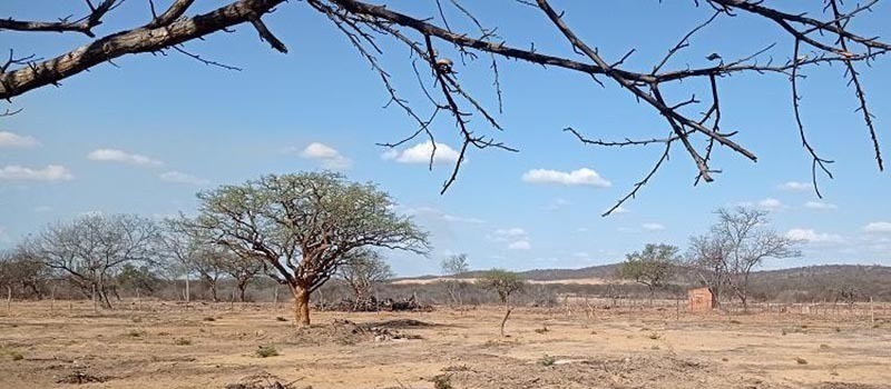 Para�ba tem 118 cidades em emerg�ncia ap�s novos reconhecimentos por estiagem