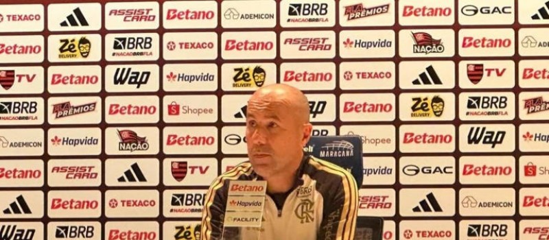 Jardim critica atua��o do Flamengo e reclama de p�nalti n�o marcado contra o S�o Paulo