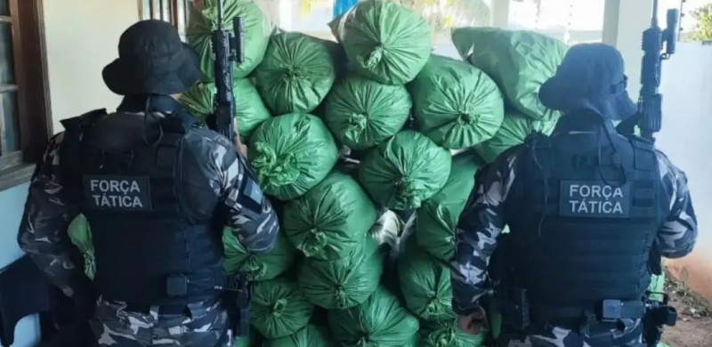 Homem � preso e aproximadamente 430 kg de maconha s�o apreendidos em Sum�-PB