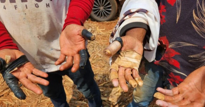 Para�ba tem 18 empregadores em lista do Governo Federal por trabalho an�logo � escravid�o