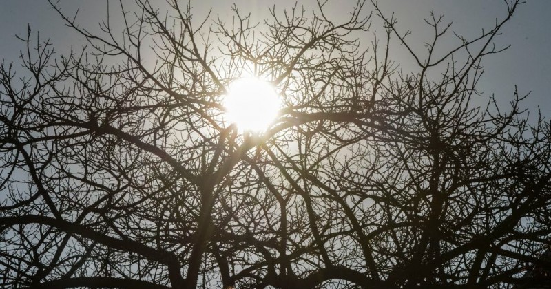 Fen�meno El Ni�o pode ocorrer ainda, com risco de aumento de temperaturas e seca na PB