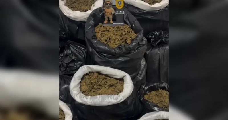 Pol�cia Civil apreende cerca de 300 kg de maconha no Cariri da Para�ba