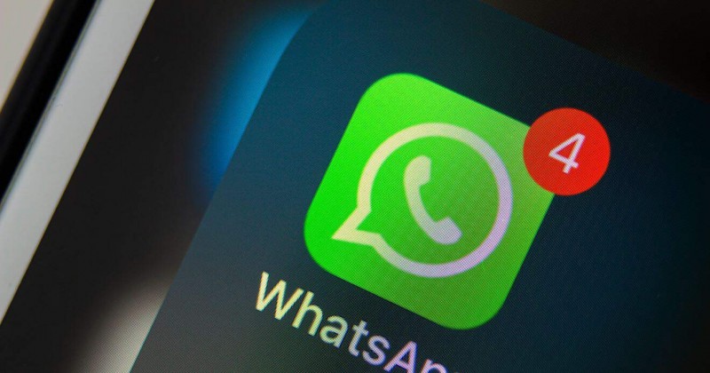 Grupos de WhatsApp para imitar animais se tornam sensa��o entre brasileiros