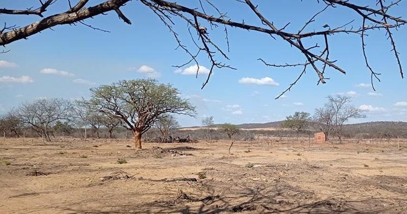 Para�ba tem 118 cidades em emerg�ncia ap�s novos reconhecimentos por estiagem