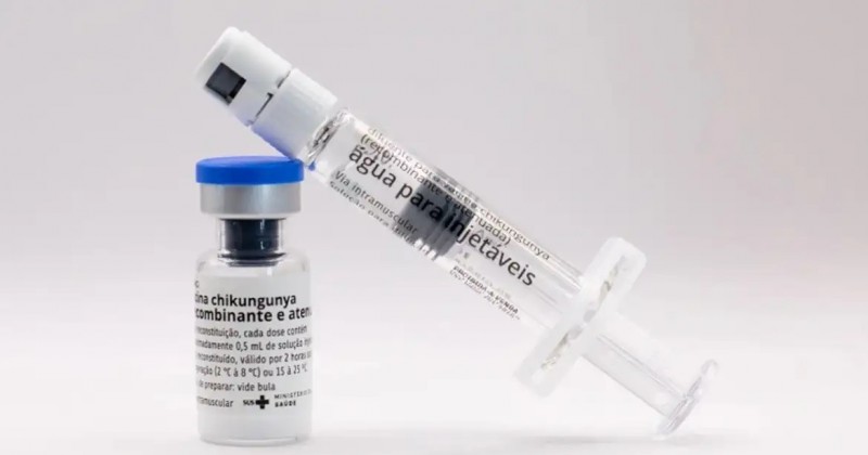 Instituto Butantan vai produzir vacina nacional contra chikungunya
