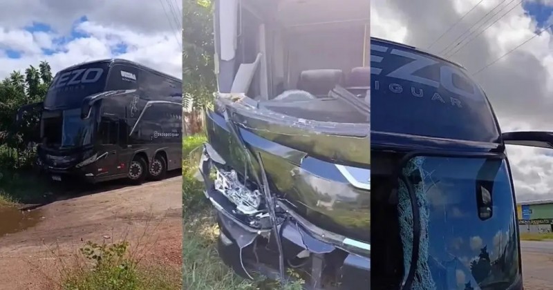 �nibus de Zezo atropela cavalo na BR-230, na Para�ba
