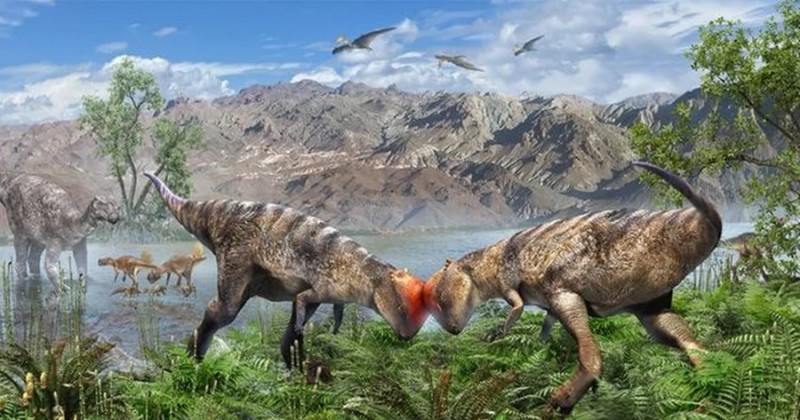 Entenda como os paleont�logos descobrem os h�bitos dos dinossauros