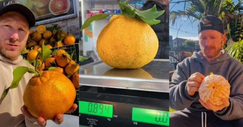 Mexerica de quase 1 quilo vira atrao no RS e rende pedidos at do Nordeste