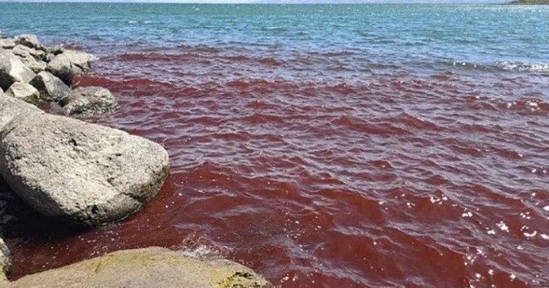 Cenrio de milagres de Jesus, Mar da Galileia amanheceu tingido de vermelho