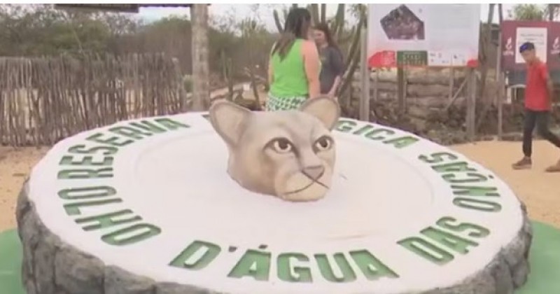 Reserva ecolgica ajuda a preservar a Caatinga e promove ecoturismo na Paraba