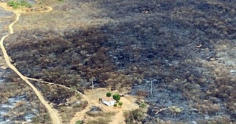 Projeto aprovado na Cmara dos Deputados visa a recuperao da Caatinga
