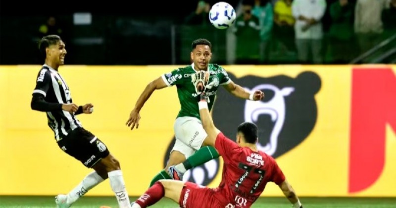 Pacincia  a virtude de Palmeiras que no desiste; anlise