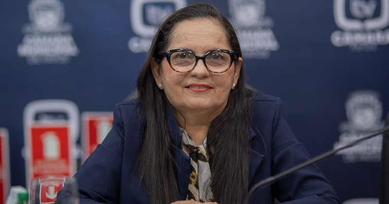 Vereadora Ftima Boco cobra da STTrans melhorias na pintura de faixas de pedestres e quebra-molas 