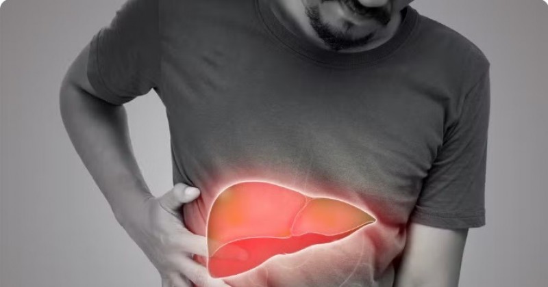 Fgado sobrecarregado: hbitos podem prevenir e reverter a gordura heptica