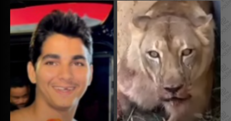 Justia determinou mais de uma vez internao do homem que morreu ao entrar na jaula de leoa