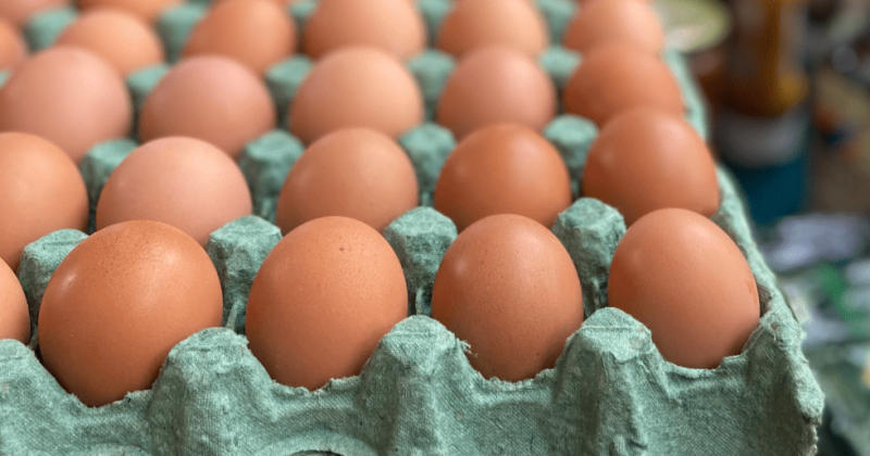 Brasil bate recorde hist�rico na exporta��o de ovos em 2025; veja n�meros