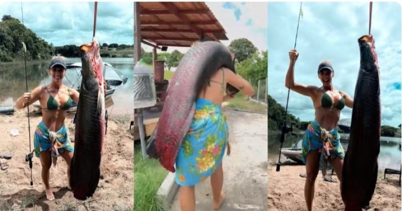 'Achei que era um toco', diz empres�ria ap�s pescar pirarucu de 65 kg e 1,5m de comprimento 