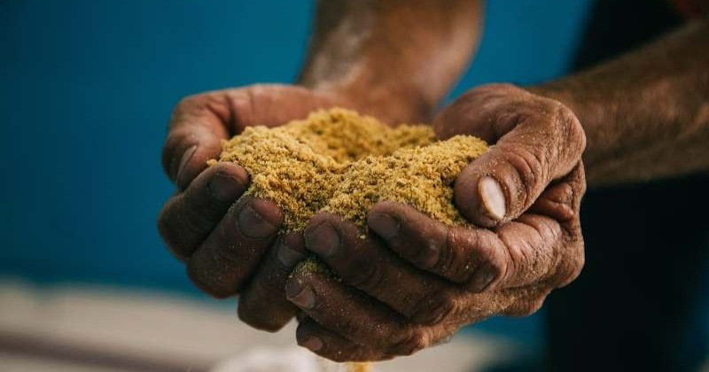 Secretaria de Agricultura de Patos acompanha entrega de ra��o animal no Polo Regional