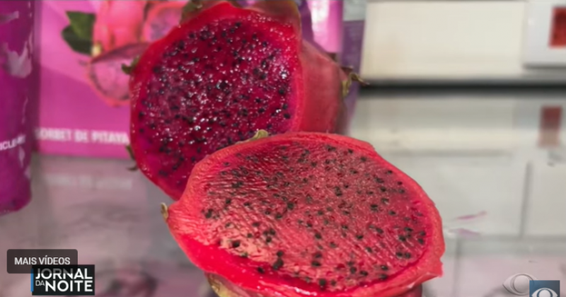 Estudo aponta que pitaia deve ser a principal tend�ncia alimentar de 2026