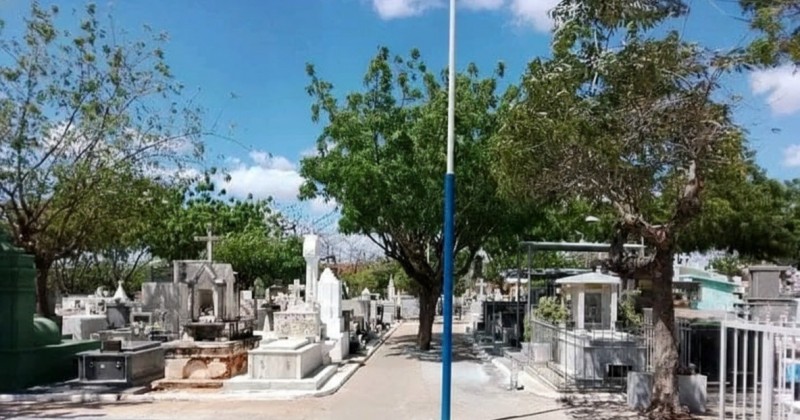 Repercuss�o negativa faz vereadora retirar projeto que sepultaria animais em t�mulos de familiares em Patos