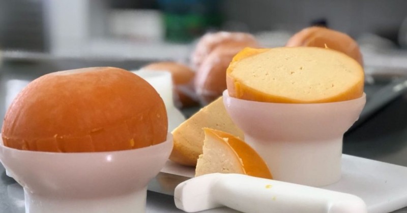 Pesquisadores da UFPB desenvolvem queijo do reino produzido com leite de cabra