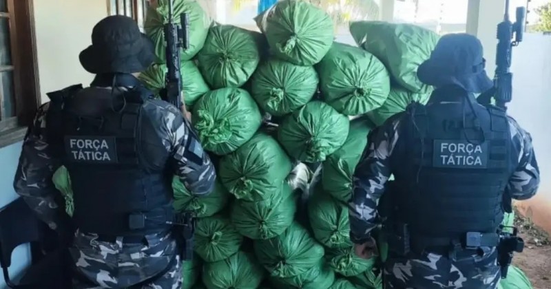 Homem � preso e aproximadamente 430 kg de maconha s�o apreendidos em Sum�-PB