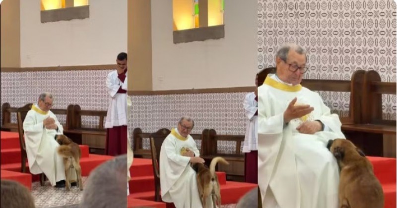 Cachorro sobe em altar durante missa e fica ao lado de padre no interior da Para�ba