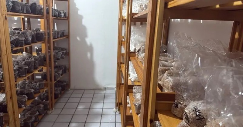 Pol�cia Federal cumpre 11 mandados de pris�o contra grupo suspeito de vender drogas pela internet na Para�ba
