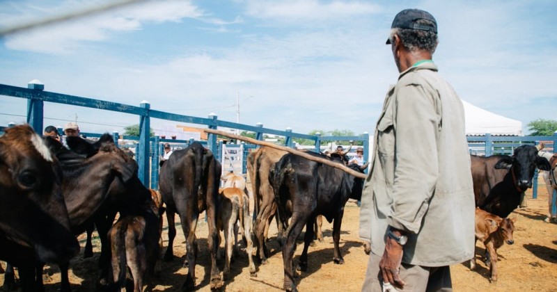Feira do Gado de Patos funcionar� normalmente no feriado de 7 de Setembro