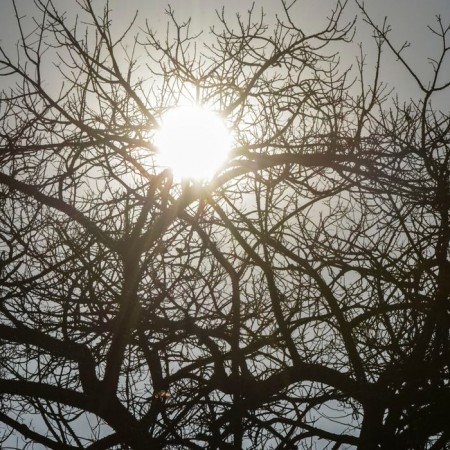 Fen�meno El Ni�o pode ocorrer ainda, com risco de aumento de temperaturas e seca na PB