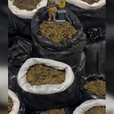 Pol�cia Civil apreende cerca de 300 kg de maconha no Cariri da Para�ba