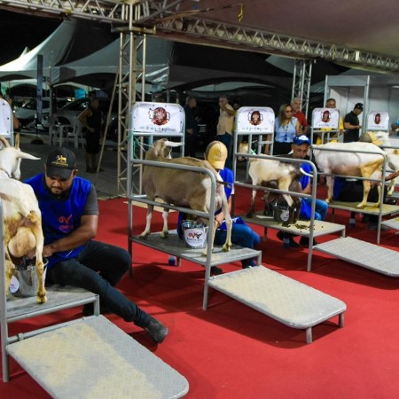 ExpoPatos 2026 inicia atividades com foco na cadeia produtiva do leite