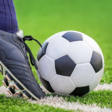 Cerro Porte�o x Palmeiras: onde assistir ao vivo, hor�rio e escala��es