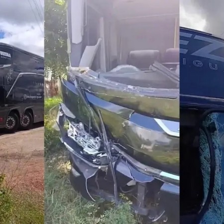 �nibus de Zezo atropela cavalo na BR-230, na Para�ba