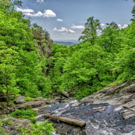 Morre aos 70 anos Denise Simonetto, dubladora de Punky, Demi Moore e Julia Roberts