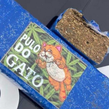 Homem  preso transportando um quilo de maconha dentro de nibus no Serto da Paraba