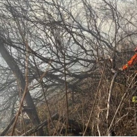 Bombeiros devem acabar com incndio na Serra do Cruzeiro nesta sexta (19) aps uma semana
