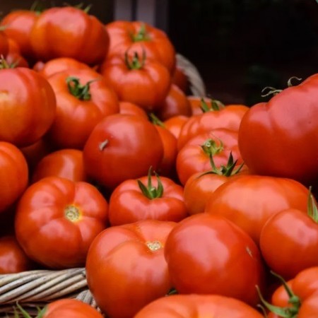 Tomate  fruta ou hortalia? Entenda a classificao