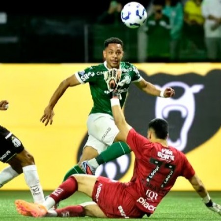 Pacincia  a virtude de Palmeiras que no desiste; anlise