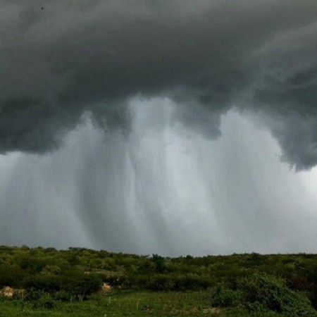Meteorologista explica fenmeno de chuvas no Serto da Paraba no ms de novembro