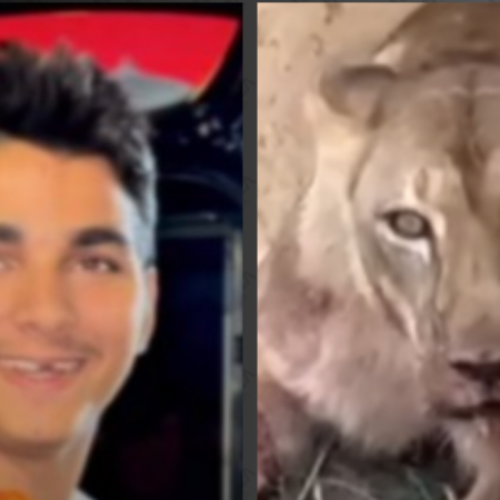 Justia determinou mais de uma vez internao do homem que morreu ao entrar na jaula de leoa