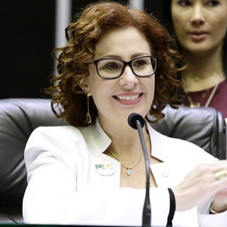 Entenda a estrat�gia por tr�s da ren�ncia da deputada Carla Zambelli � C�mara