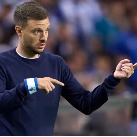 Entenda por que o t�cnico Anselmi se entusiasmou com projeto do Botafogo