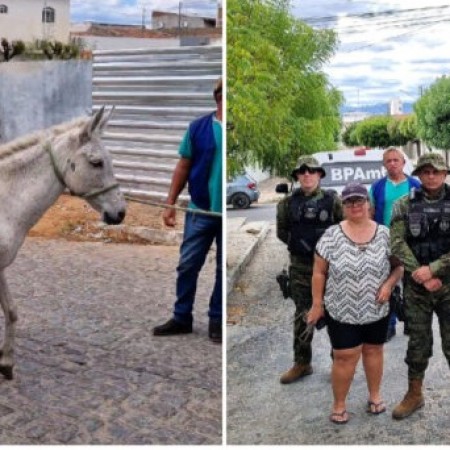 Pol�cia Ambiental e Prefeitura de Patos resgatam �gua ferida abandonada na Liberdade