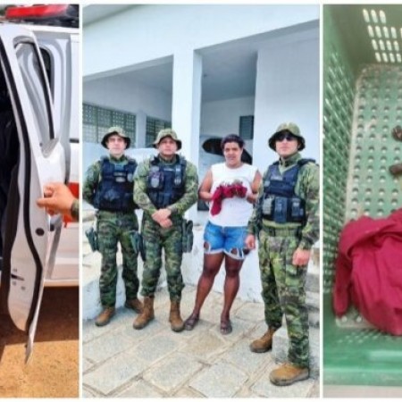 Pol�cia Ambiental salva filhote de raposa que foi abandonado pela m�e em Patos